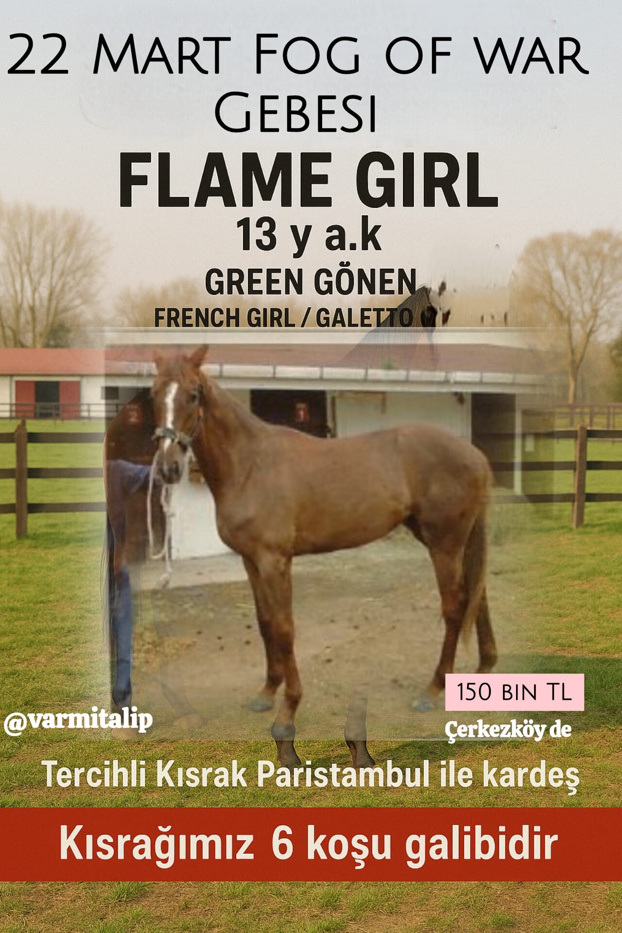 #FogOfWar Gebesi  #GreenGönen kızı damızlık Flame Girl
